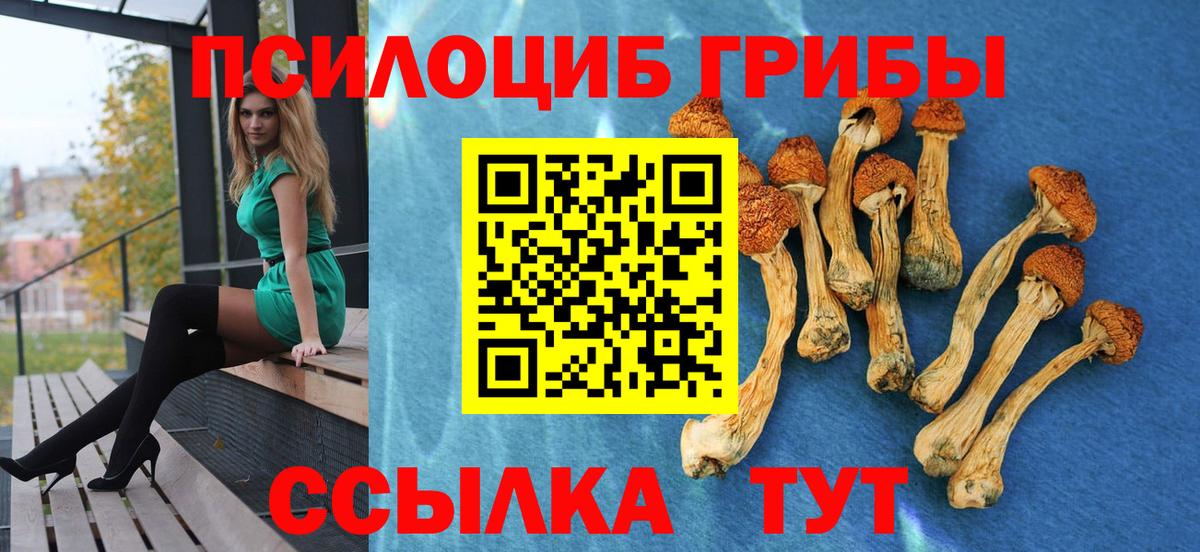 Галлюциногенные грибы ЛСД  Вход с VPN  Сызрань 